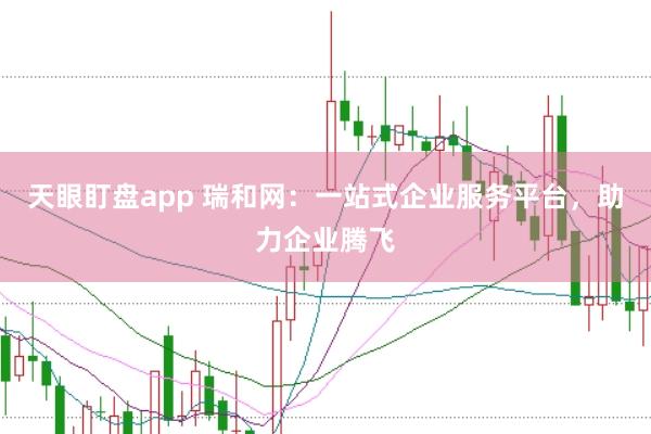天眼盯盘app 瑞和网：一站式企业服务平台，助力企业腾飞