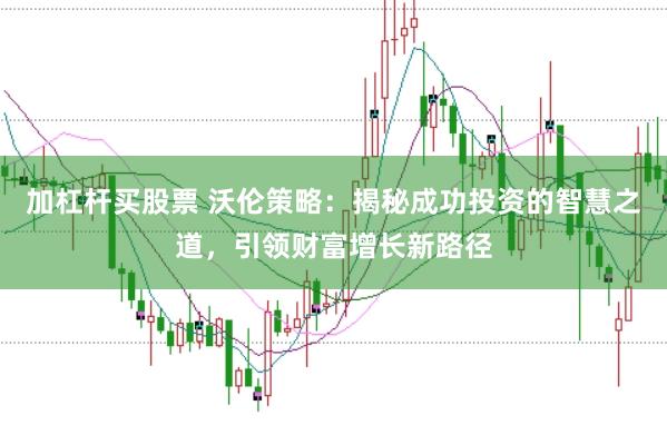 加杠杆买股票 沃伦策略：揭秘成功投资的智慧之道，引领财富增长新路径