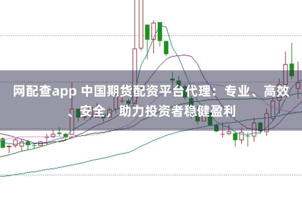 网配查app 中国期货配资平台代理:专业、高效、安全,助力投资者稳健盈利